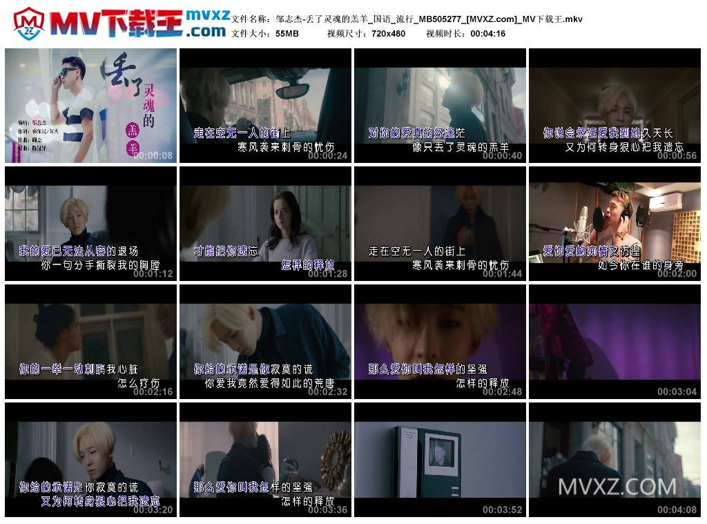 邹志杰-丢了灵魂的羔羊_国语_流行_MB505277